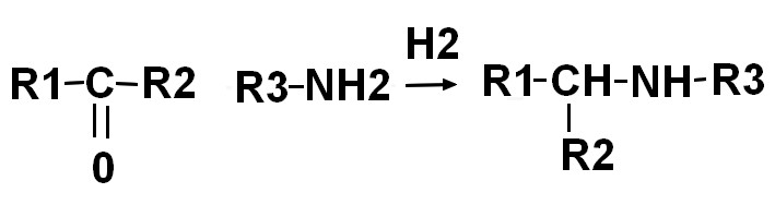 amino hydrogenation