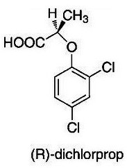 dichlorpro formula