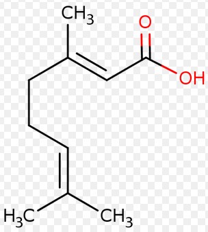geranic acid