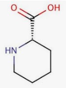 l-pipecolic_acid.jpg