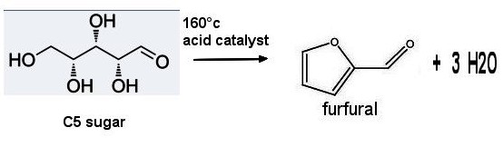 cyclpentanone