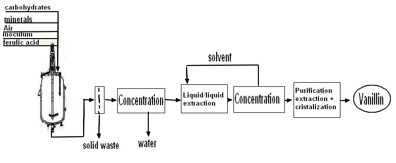 vanillin  ferulic